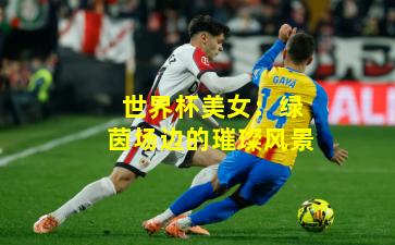 世界杯美女：绿茵场边的璀璨风景