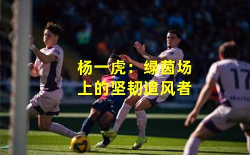 杨一虎：绿茵场上的坚韧追风者