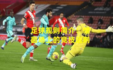 足球规则简介：绿茵场上的竞技法则