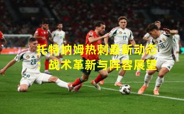 托特纳姆热刺最新动态：战术革新与阵容展望