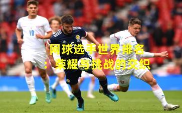 网球选手世界排名：荣耀与挑战的交织